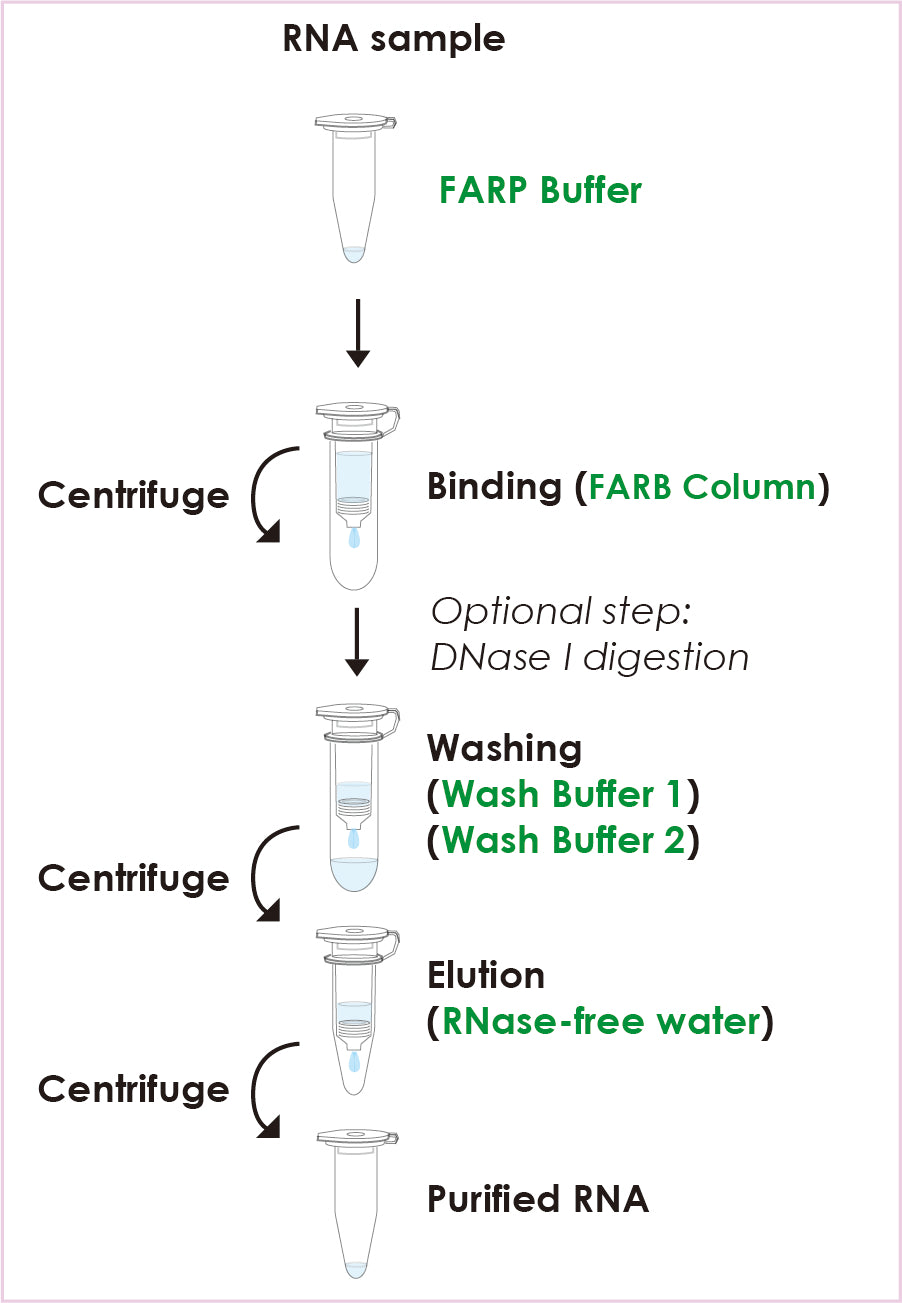 FavorPrep™ After Tri-RNA Purification Mini Kit (50 Prep)