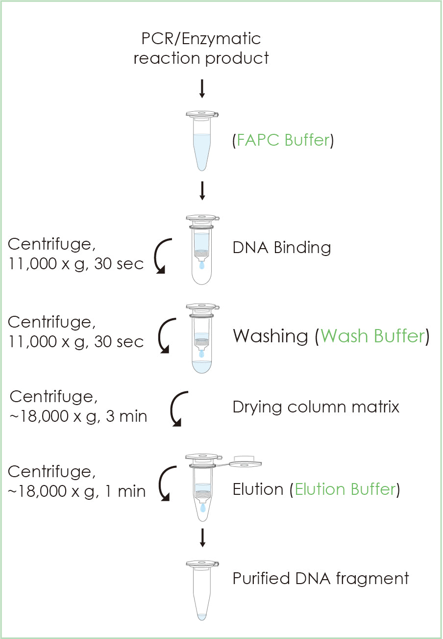 FavorPrep™ PCR Clean-Up Mini Kit (50 Prep)