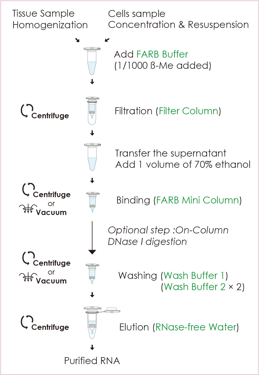 FavorPrep™ Tissue Total RNA Mini Kit (50 Prep)