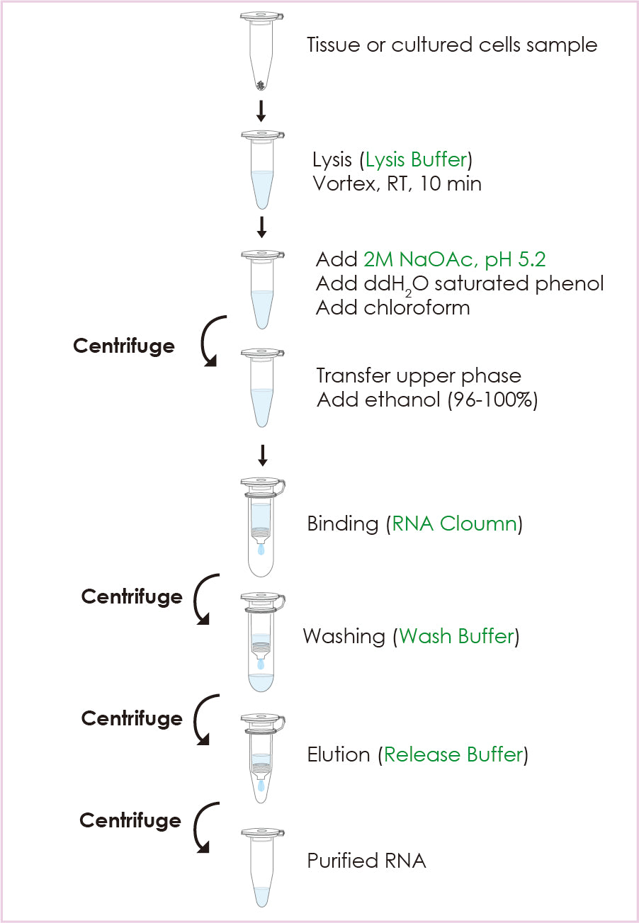 FavorPrep™ Total RNA Isolation Kit II (Tri-reagent + RNA spin column) (50 Prep)