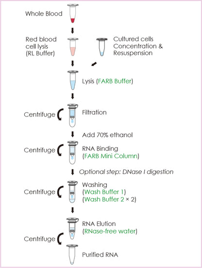 FavorPrep™ Blood/Cultured Cell Total RNA Mini Kit (50 Prep)