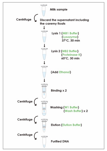 FavorPrep™ Milk Bacterial DNA Extraction Kit (50 Prep)