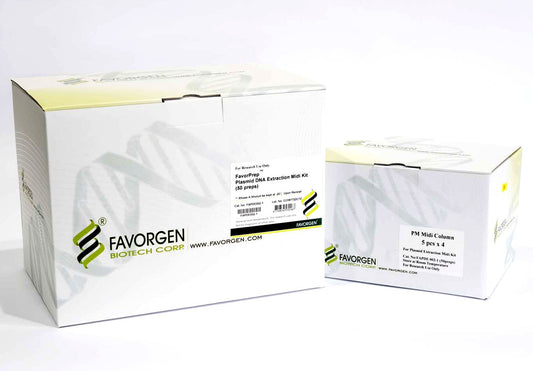 FavorPrep™ Plasmid DNA Extraction Midi Kit, Ion Exchange (50 Prep)