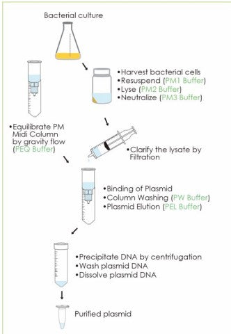 FavorPrep™ Plasmid DNA Extraction Midi Kit, Ion Exchange (50 Prep)