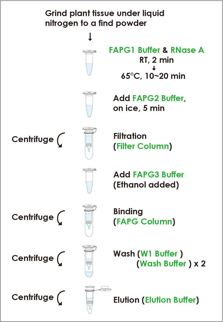 FavorPrep™ Plant Genomic DNA Extraction Mini Kit (50 Prep)