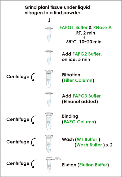 FavorPrep™ Plant Genomic DNA Extraction Mini Kit (50 Prep)