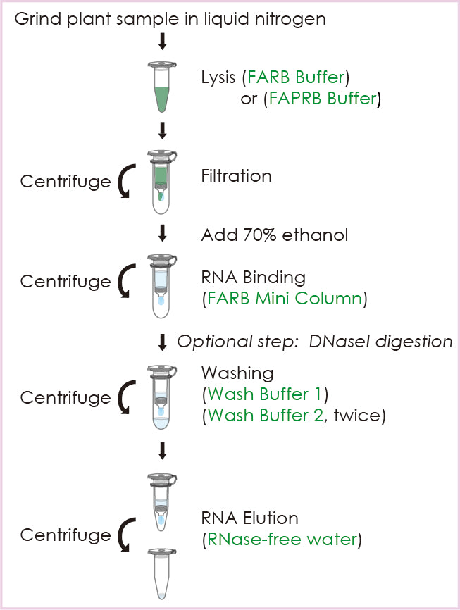 FavorPrep™ Plant Total RNA Mini Kit (50 Prep)
