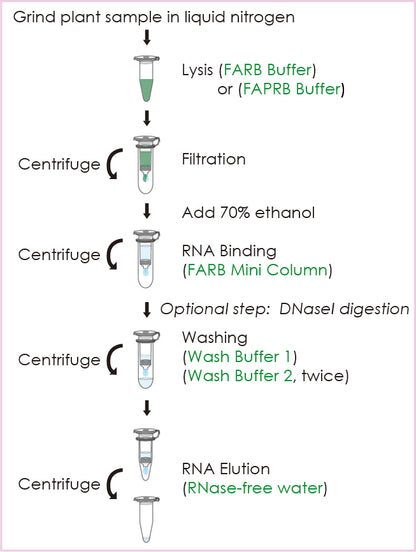 FavorPrep™ Plant Total RNA Mini Kit (50 Prep)