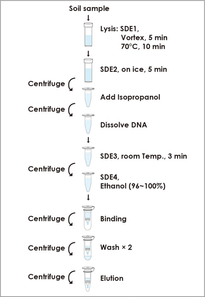 FavorPrep™ Soil DNA Isolation Mini Kit (50 Prep)