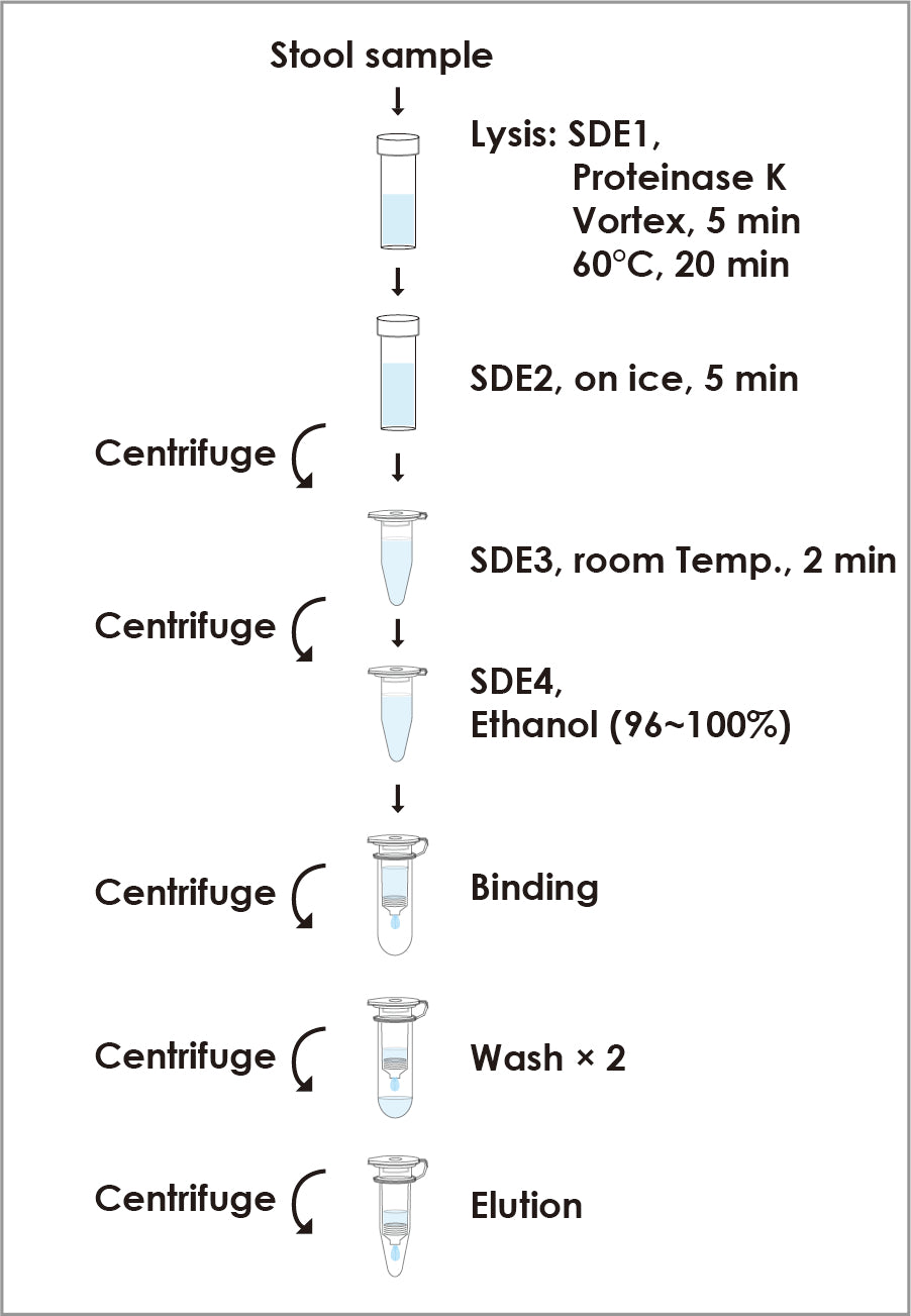 FavorPrep™ Stool DNA Isolation Mini Kit (50 Prep), with Proteinase K Powder