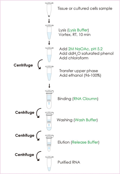 FavorPrep™ Total RNA Isolation Kit II (Tri-reagent + RNA spin column) (50 Prep)