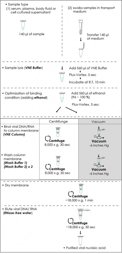 FavorPrep™ Viral DNA/RNA Kit (With Carrier RNA, for low viral load specimen using carrier RNA) (50 Prep)